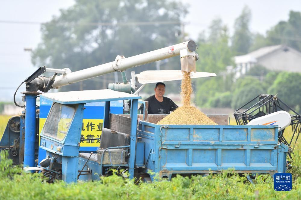 玛丽水果机苹果版下载